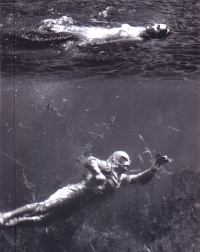 Photo #15